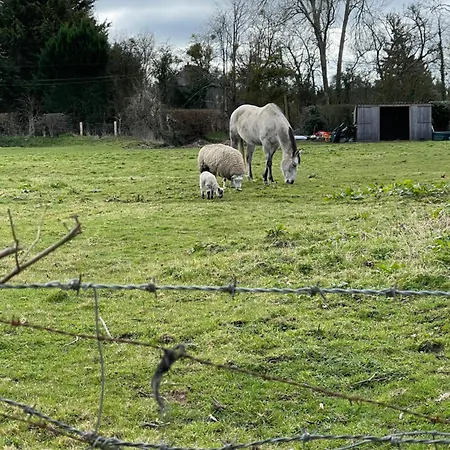 Les Апартаменты *