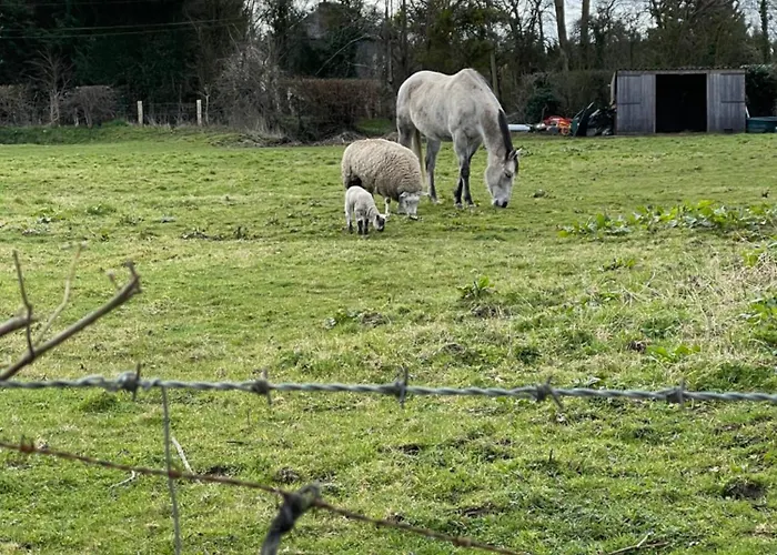 Les Διαμέρισμα *